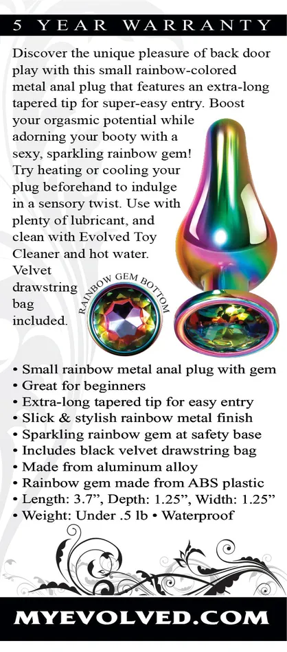 Anal | Evolved Novelties Rainbow Metal Plug Small