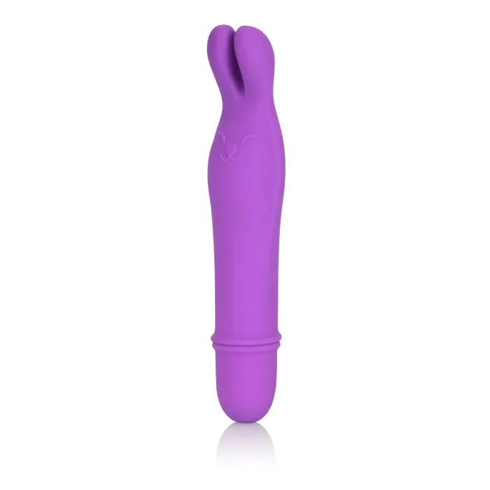 CalExotics Vibrators | Shane's World Bedtime Bunny - Purple CalExotics Vibrators | Shane's World Bedtime Bunny - Purple